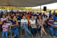 arranque-10