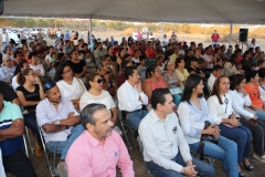 arranque-12